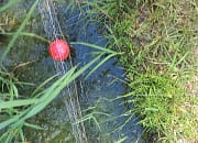 Petani Tersengat Listrik di Sawah, Masyarakat Berharap Pemerintah Ambil Tindakan